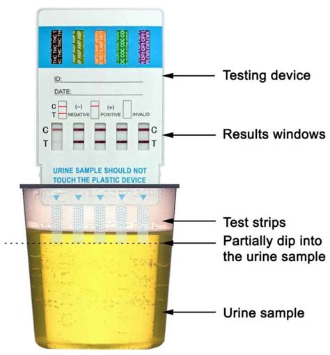 bottle warm to the touch drug test|3 day drug test urine temperature.